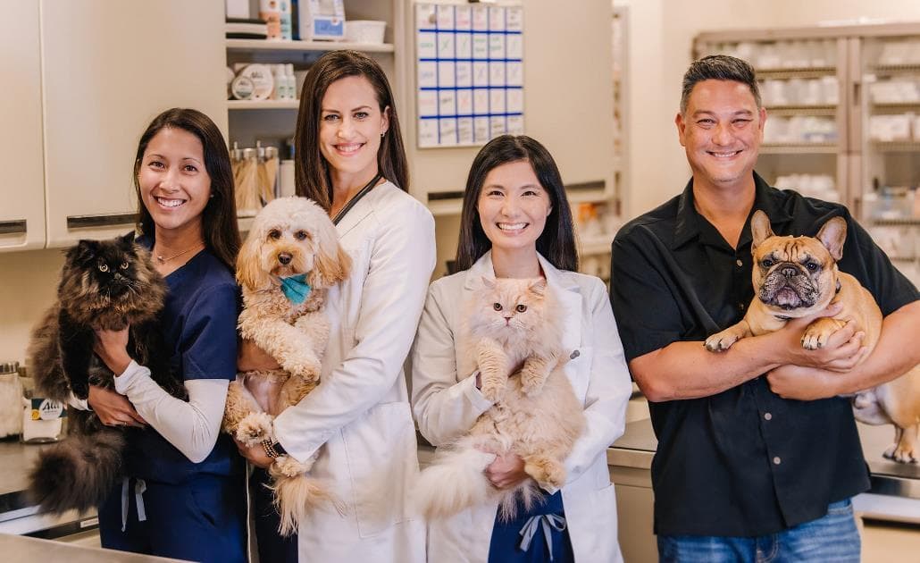 Alii animal hospital and resort staff 1030 x 630