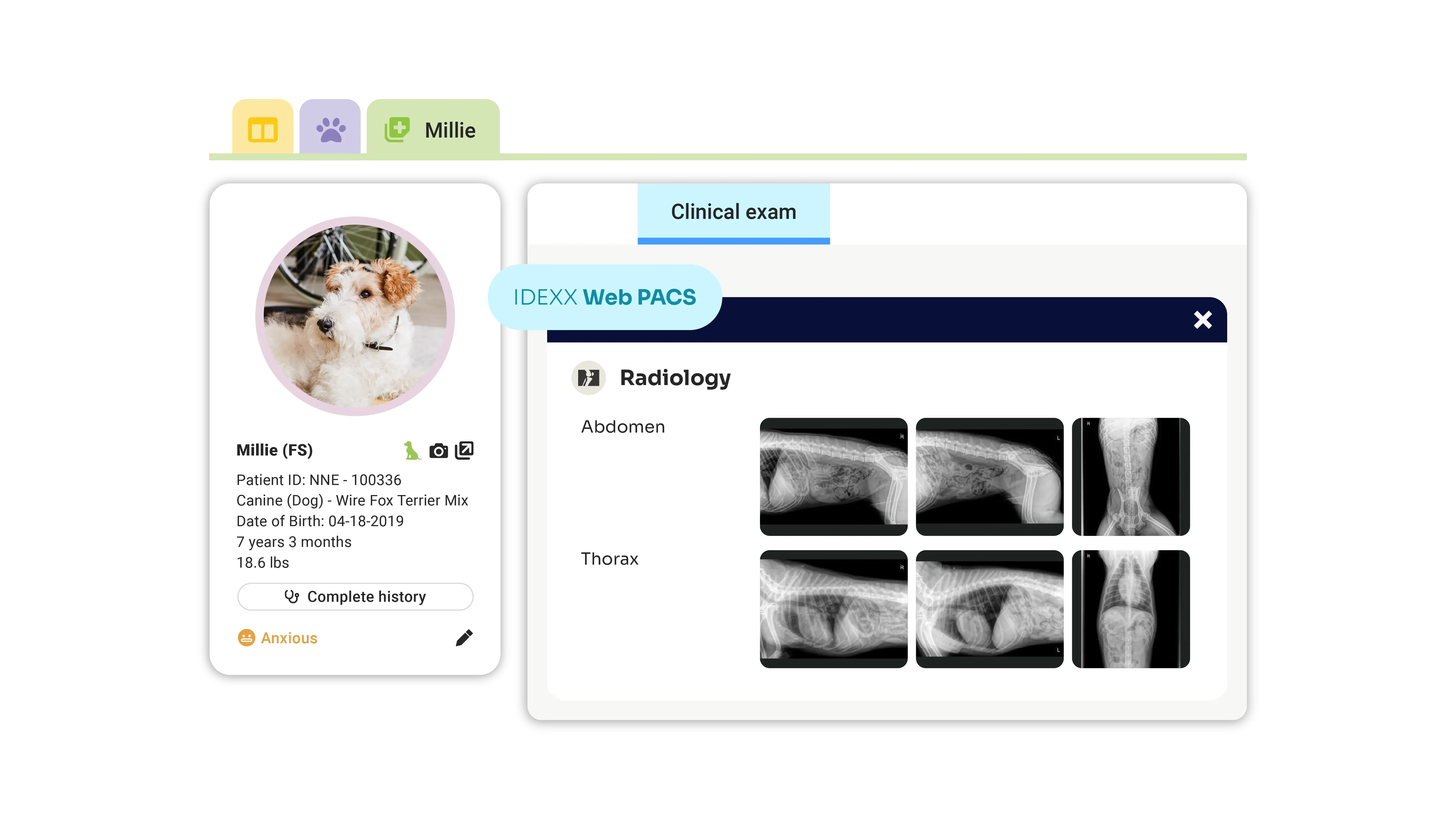 Veterinarians showing patient image on computer screen.