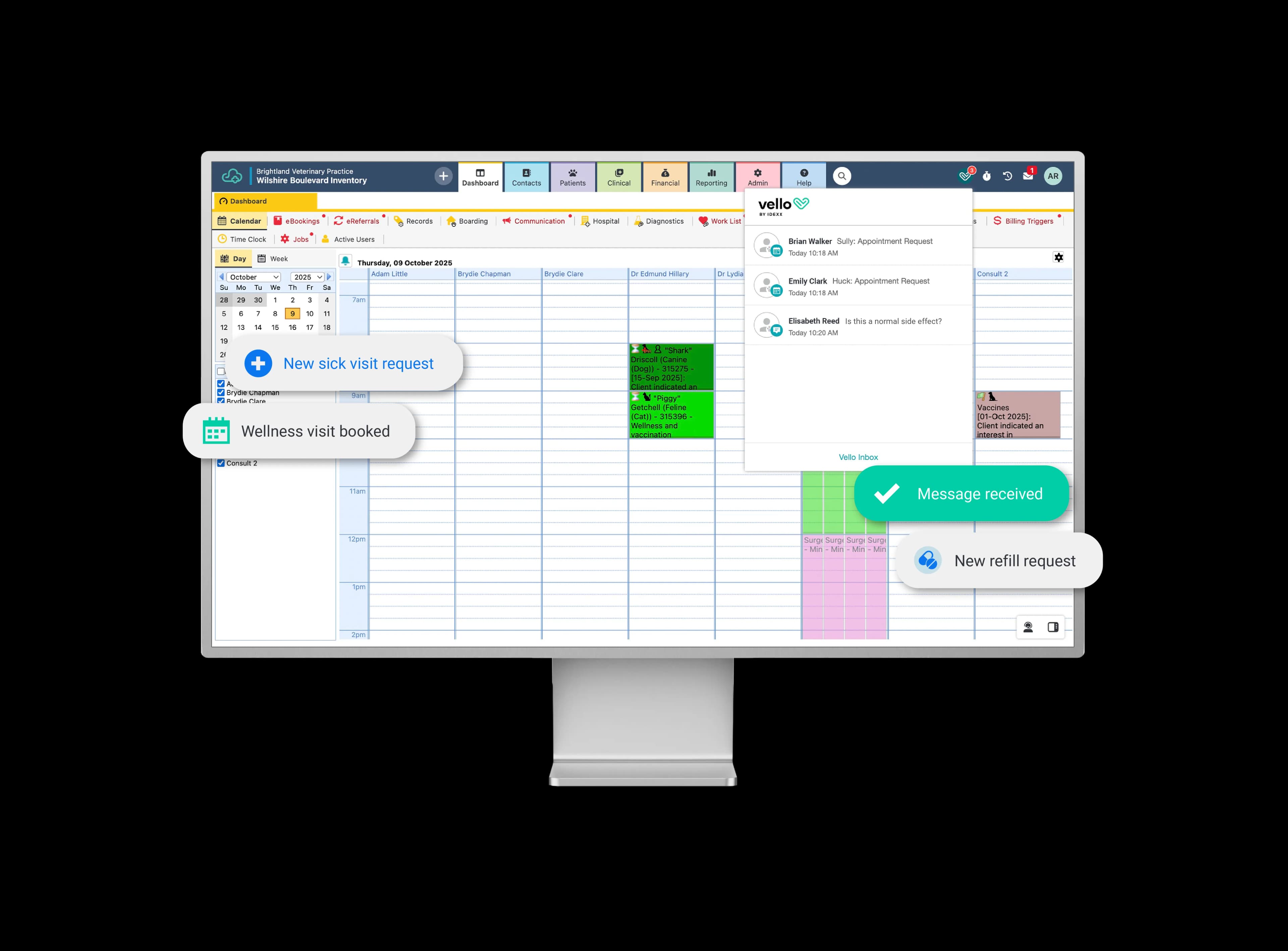Veterinary professional on the phone while using ezyVet