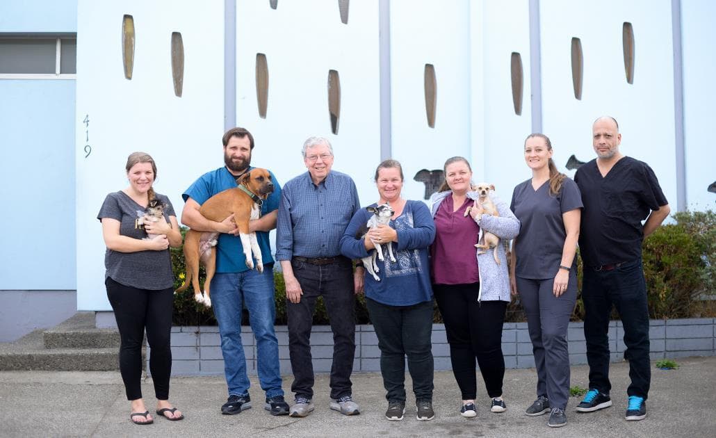 San rafael animal hospital team 1030 x 630