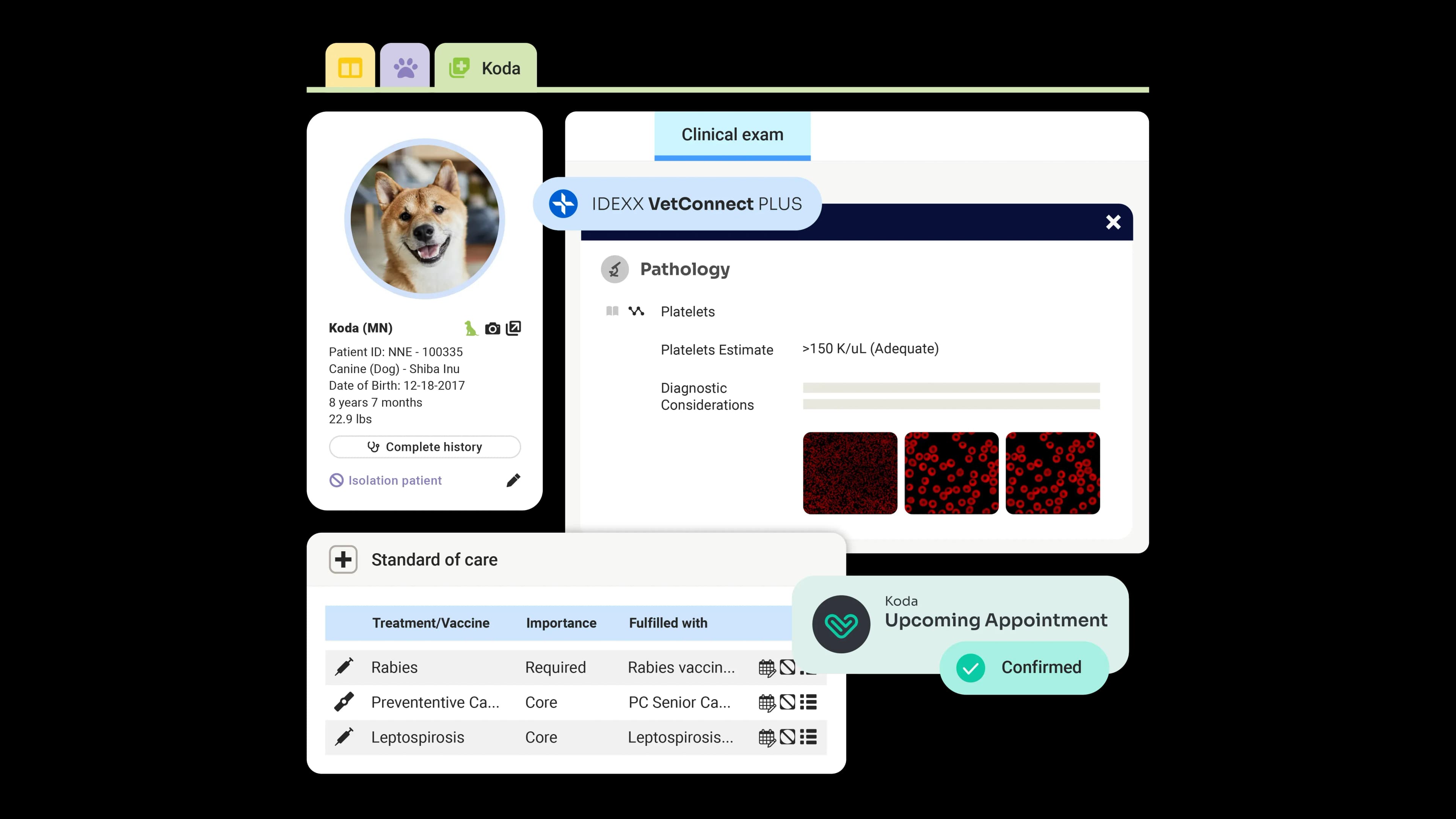 ezyVet General UI