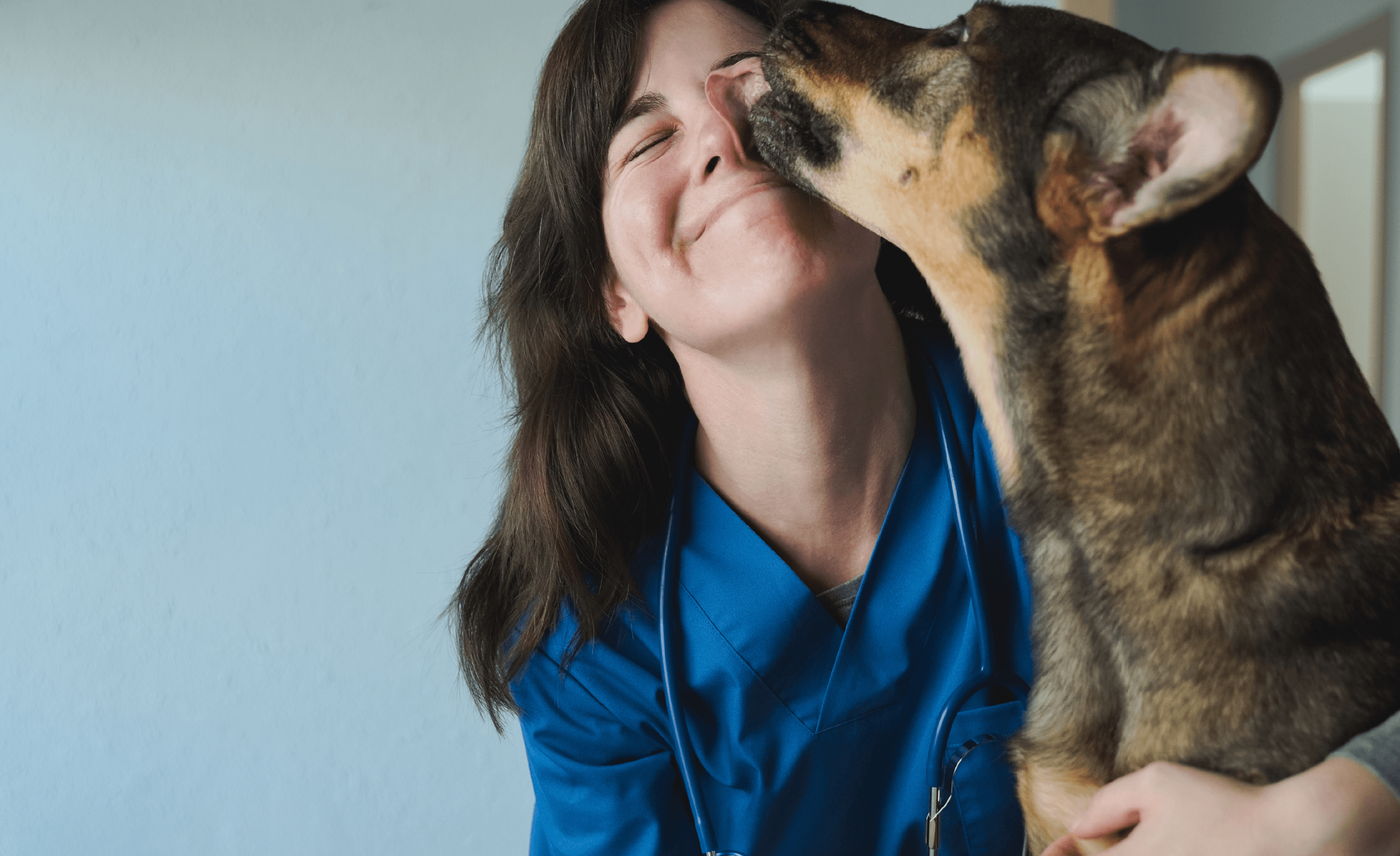 Dog licking a veterinarian