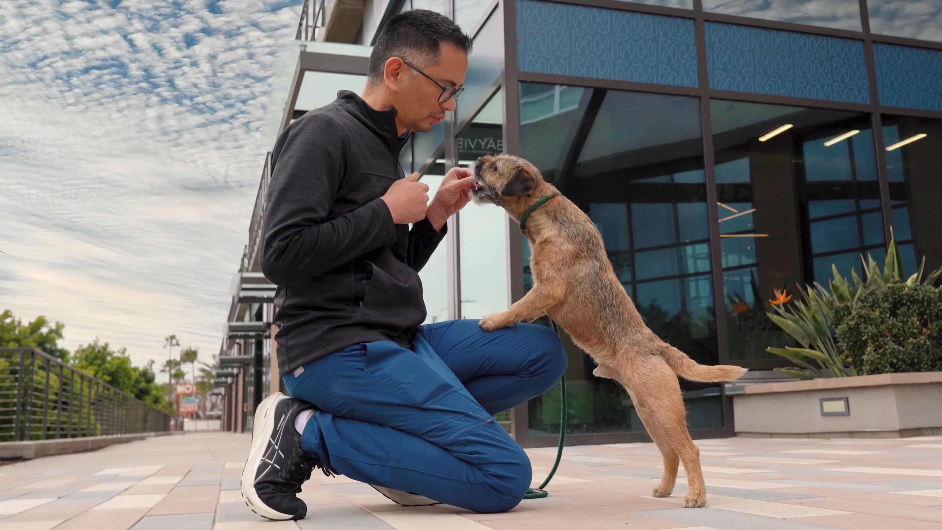 Veterinarian holding a dog