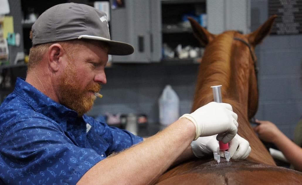 Vet with horse 1030 x 630