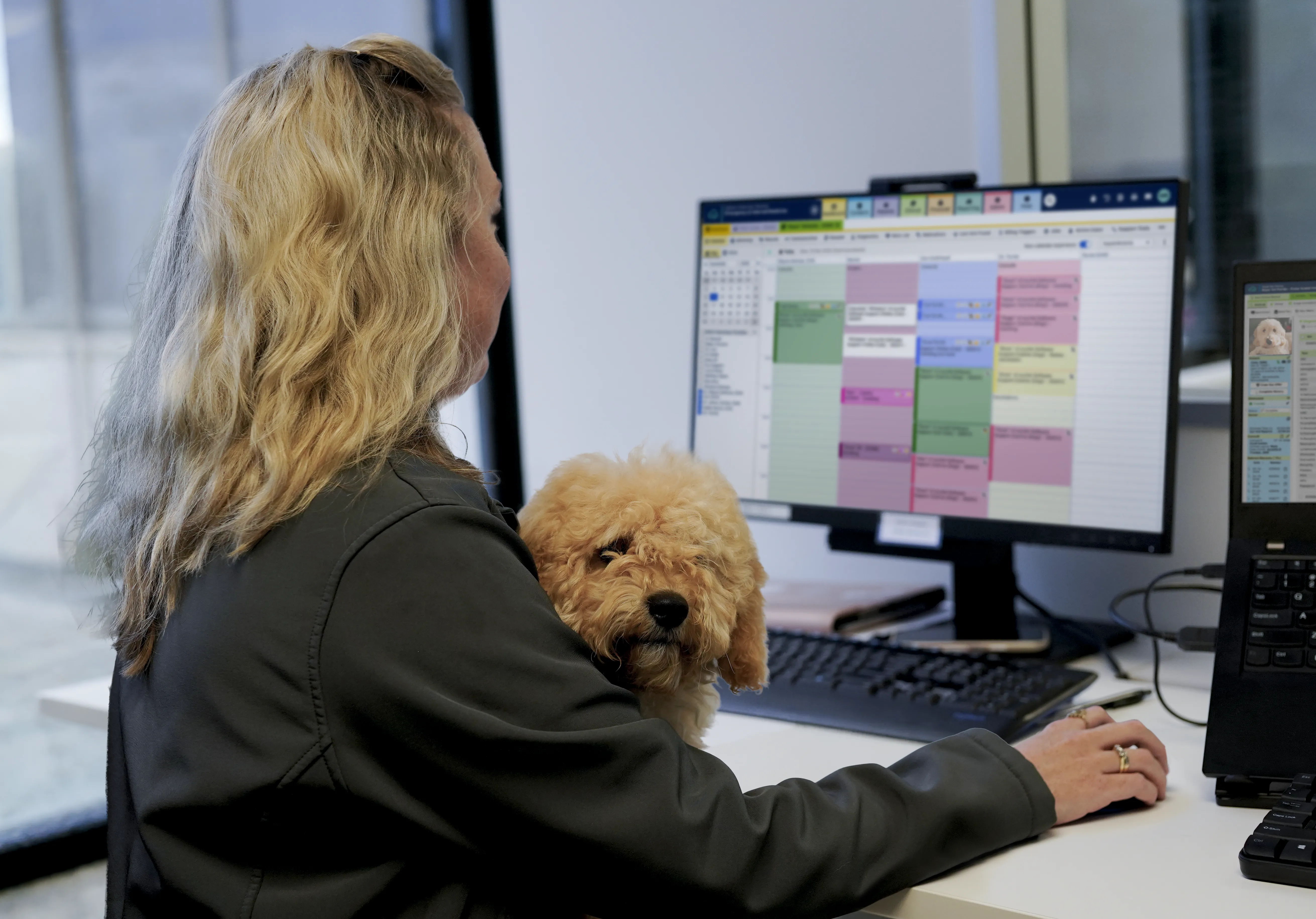 Vet staff using ezyVet while holding dog on lap