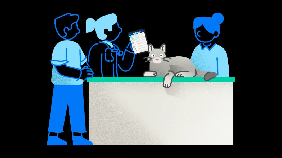 See how your standards of care can carry through every visit