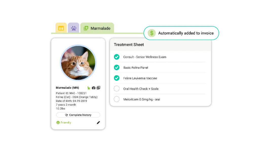 Veterinary staff using ezyVet at the front desk of a practice